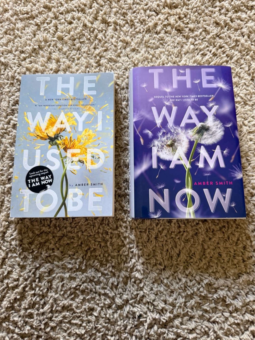 The Way I Used to Be & The Way I Am Now by Amber Smith (2-Book Series)